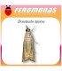 Feromonas para CHRYSOTEUCHIA TOPIARIA Girdler del arándano