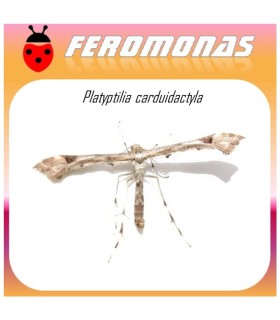 Feromonas para PLATYPTILIA CARDUIDATYLA Polilla del plume de la alcachofa