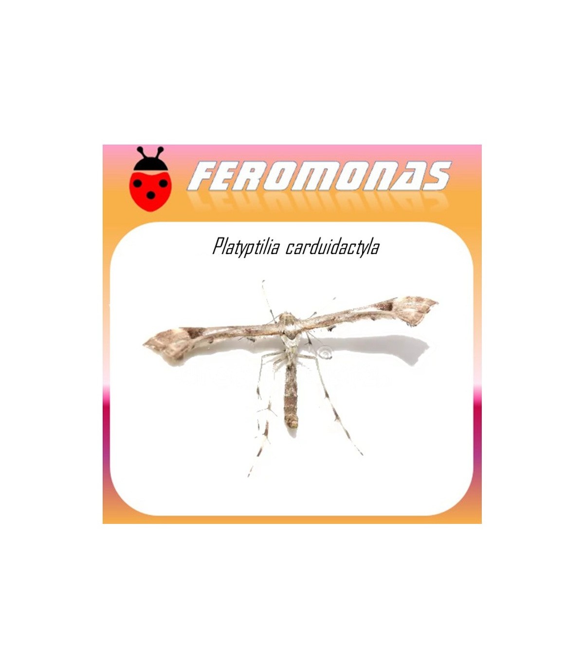 Feromonas para PLATYPTILIA CARDUIDATYLA Polilla del plume de la alcachofa