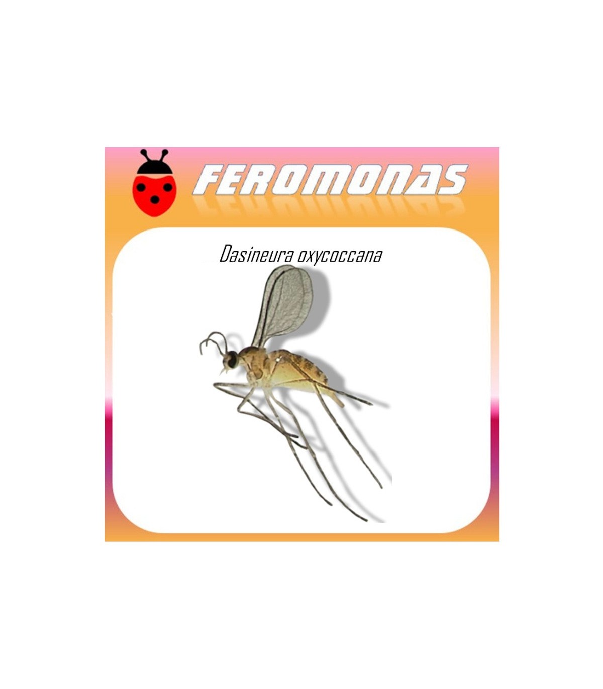 DASINEURA OXYCOCCANA feromona Agrobio