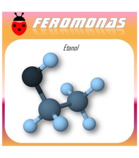 ETANOL 60 dias