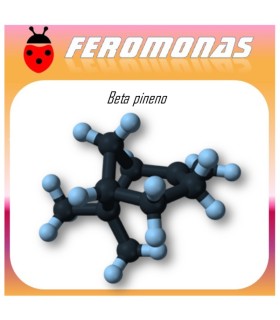 BETA PINENO 60 dias