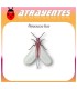 PLANOCOCCUS FICUS feromona cochinilla harinosa de la vid