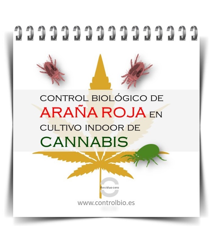 Manual práctico para el control biológico de araña roja en cultivo indoor de cannabis
