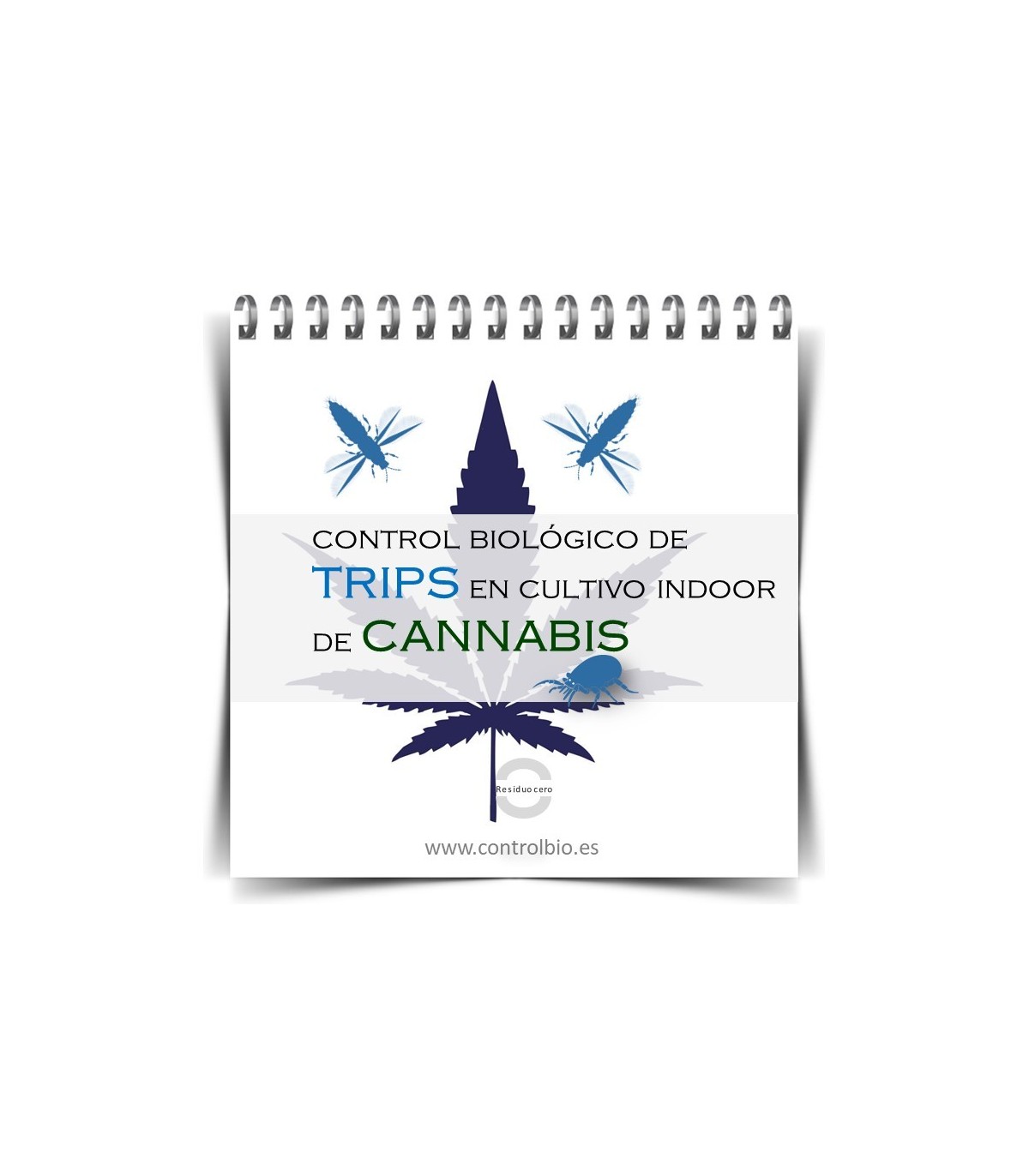 GUÍA FÁCIL. Control biológico de trips en cultivo indoor de cannabis