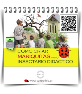 GUÍA FÁCIL. Cómo criar mariquitas en un insectario didáctico