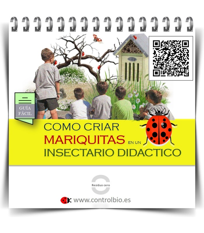 GUÍA FÁCIL. Cómo criar mariquitas en un insectario didáctico