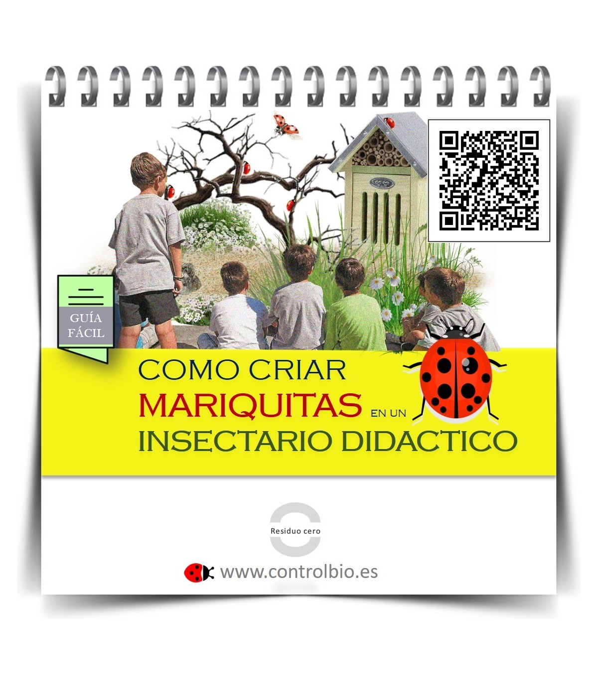 GUÍA FÁCIL. Cómo criar mariquitas en un insectario didáctico