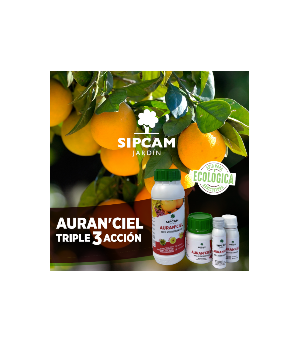 AURAN´CIEL aceite de naranja triple acción