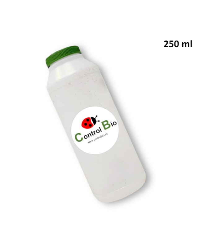 BOTE ENTOMOLÓGICO 250 ml