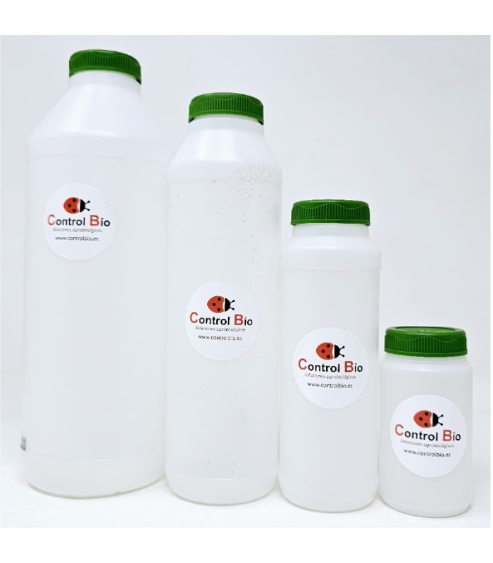 BOTE ENTOMOLÓGICO 500 ml