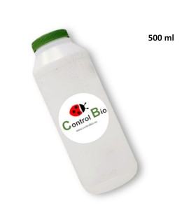 BOTE ENTOMOLÓGICO 500 ml