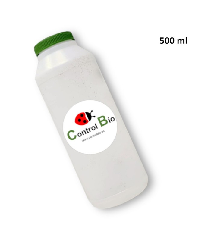 BOTE ENTOMOLÓGICO 500 ml