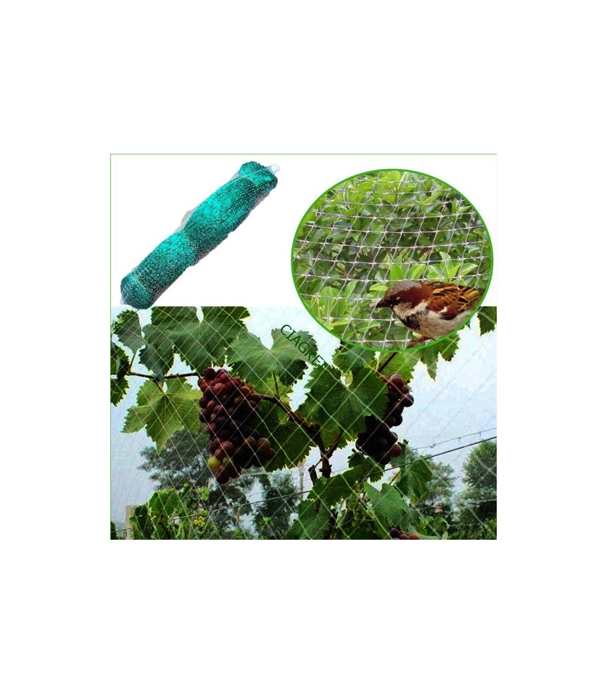 MALLA protectora antipajaros verde bolsa 6X10mt