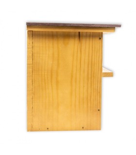 CAJA NIDO PARA CERNÍCALO