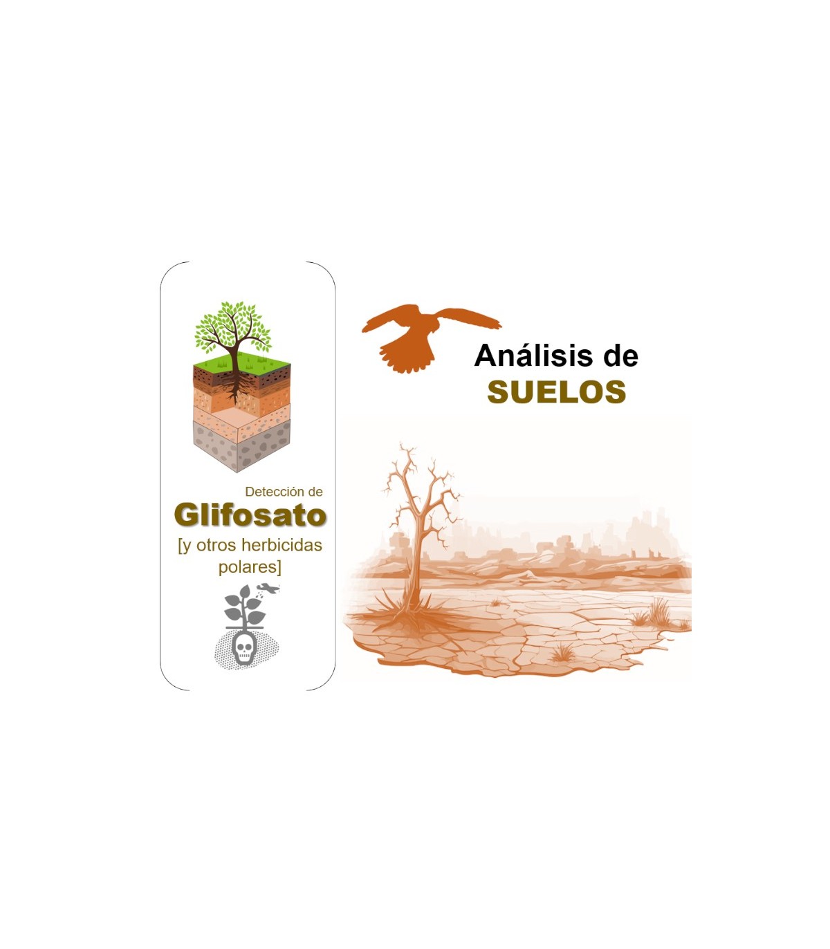 DETECCIÓN DE GLIFOSATO Y OTROS HERBICIDAS POLARES EN SUELO