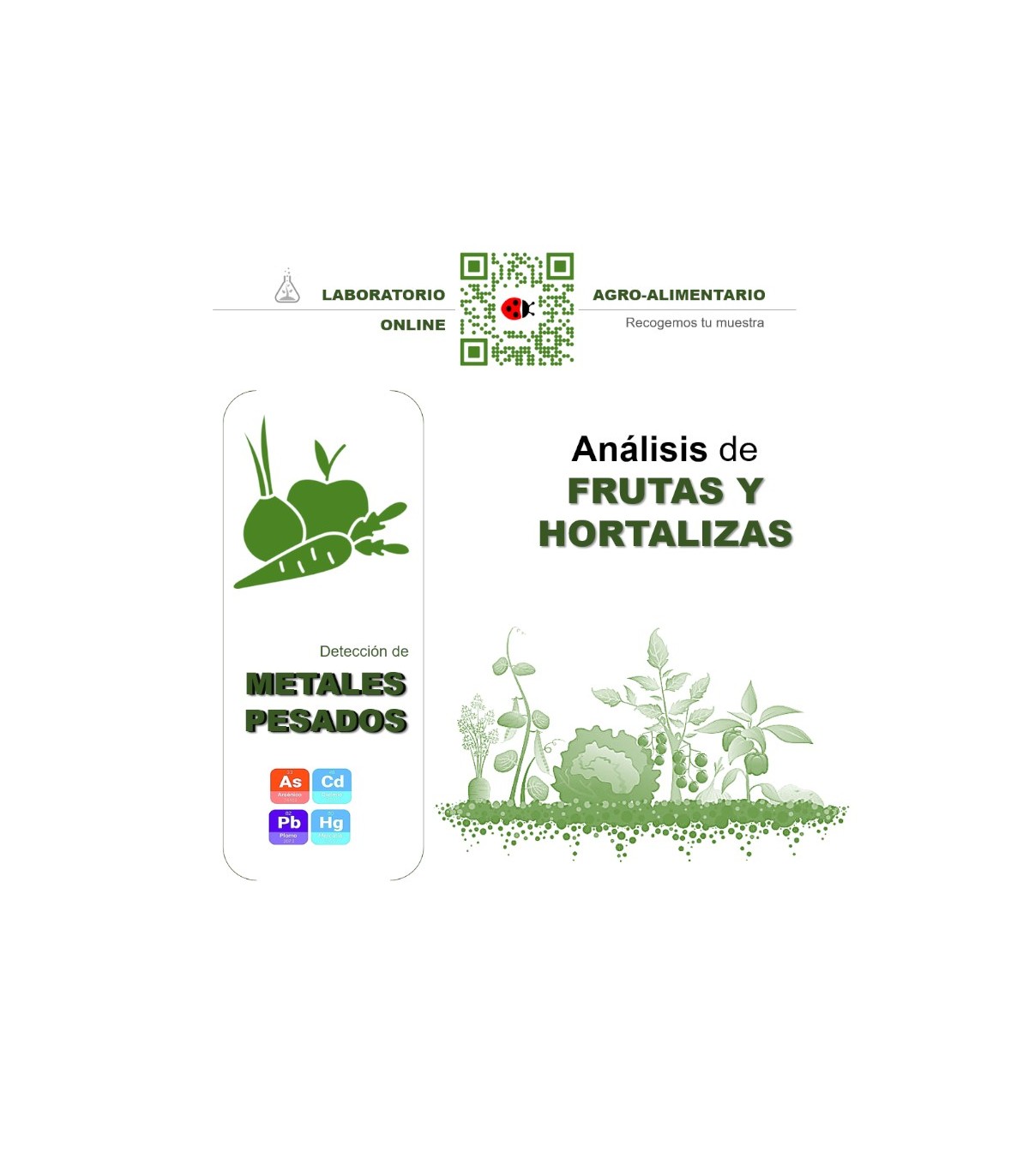 DETECCIÓN DE METALES PESADOS EN FRUTAS Y HORTALIZAS
