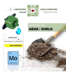 DETERMINACIÓN DE MOLIBDENO