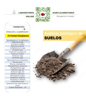 Analisis y detección de fitopatógenos frecuentes en suelos cultivables