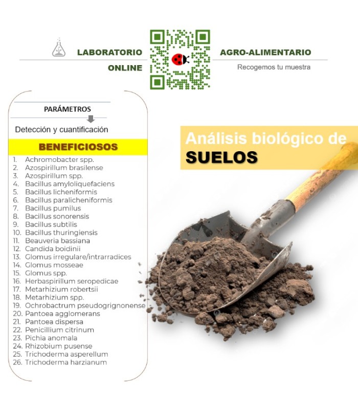 Detección multiespecies de microorganismos beneficiosos en suelo