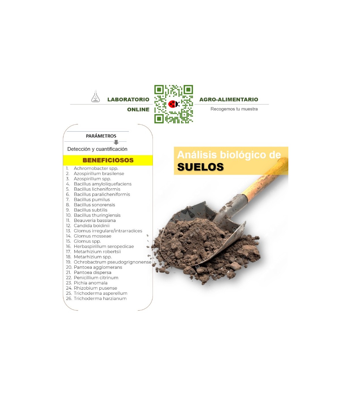 Detección multiespecies de microorganismos beneficiosos en suelo