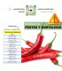 DETECCIÓN DE METALES PESADOS EN FRUTAS Y HORTALIZAS