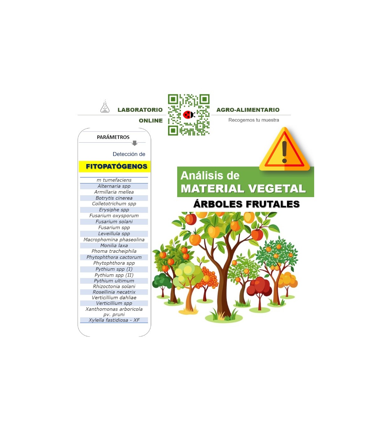 Detección multiespecífica de fitopatógenos en frutales por screening