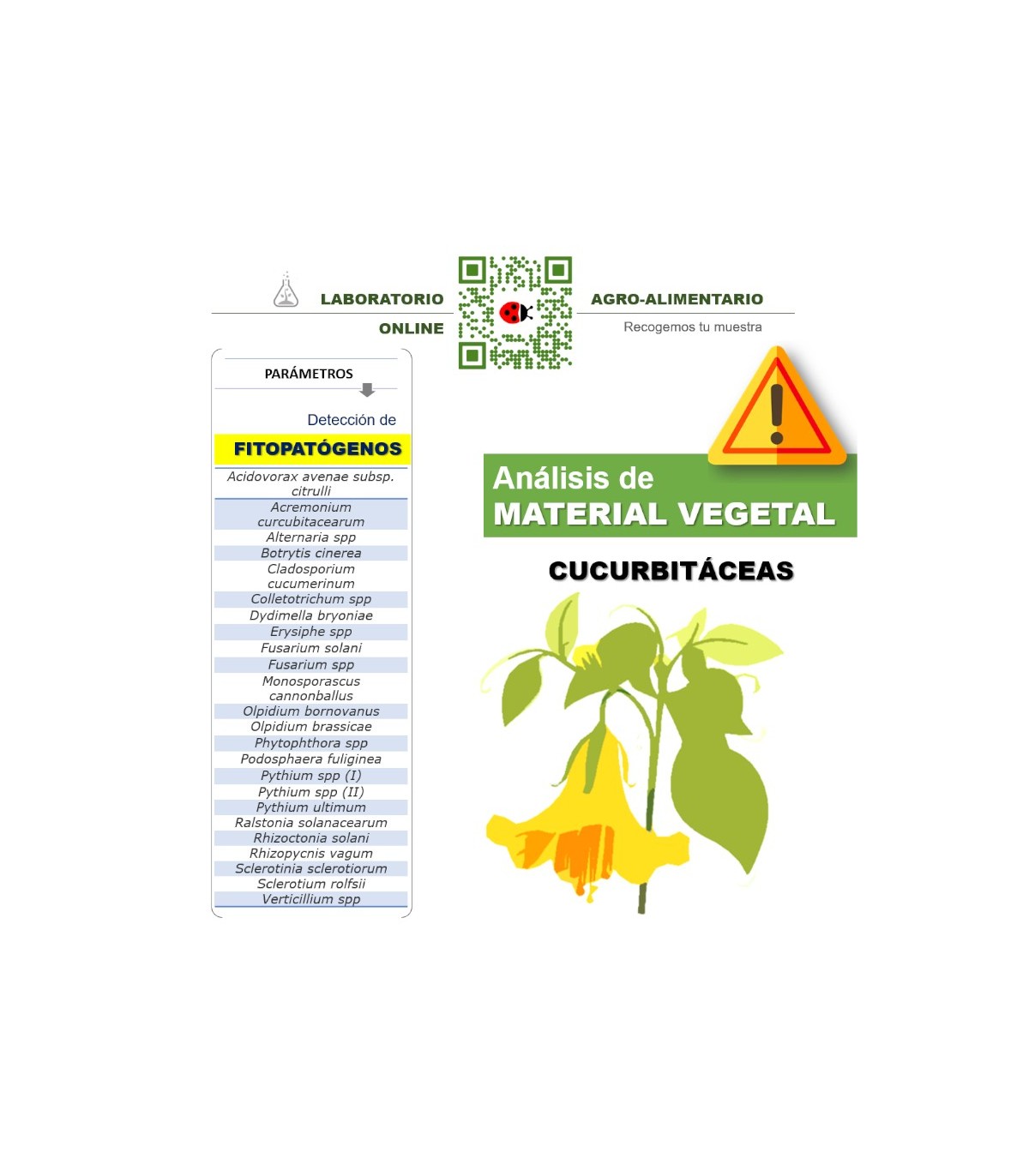 Detección por barrido de fitopatógenos más frecuentes en cucurbitáceas