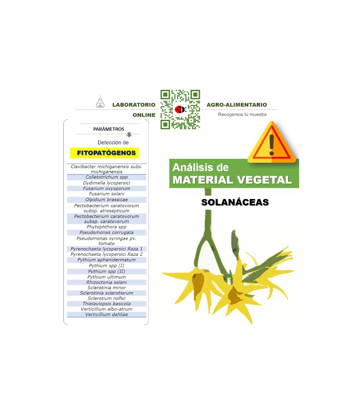 Detección por barrido de fitopatógenos más frecuentes en solanáceas