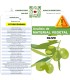 Detección multi especies de los  fitopatógenos más usuales en olivar