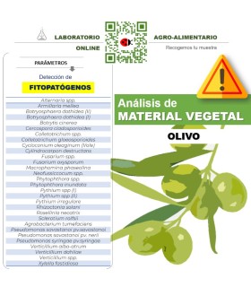 Detección multi especies de los  fitopatógenos más usuales en olivar