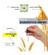 TEST Phytophthora 1 Ud