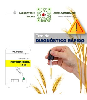 TEST Phytophthora 1 Ud