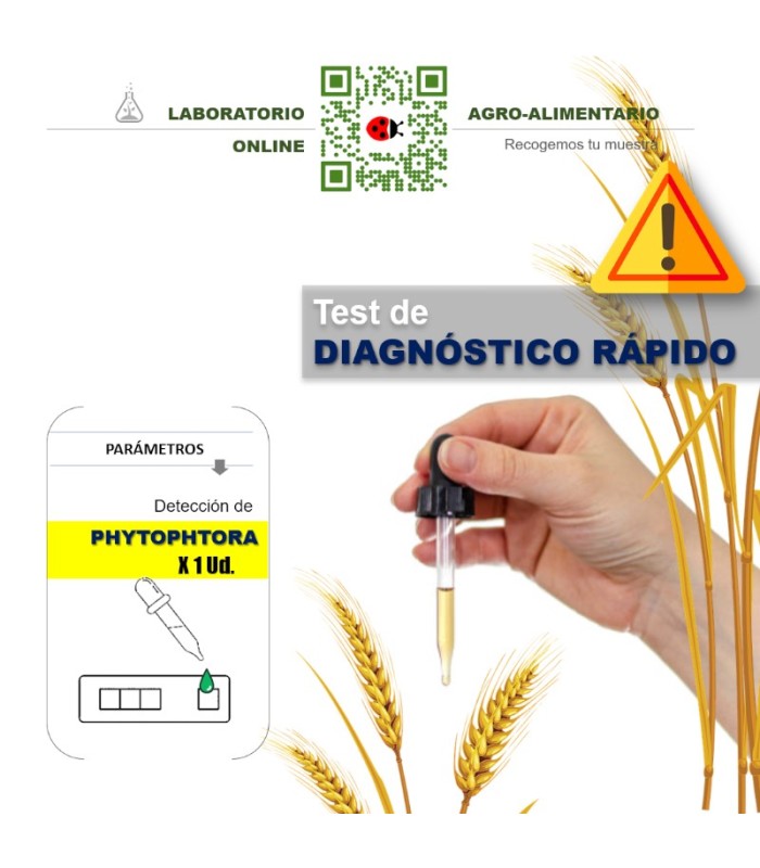 TEST Phytophthora 1 Ud
