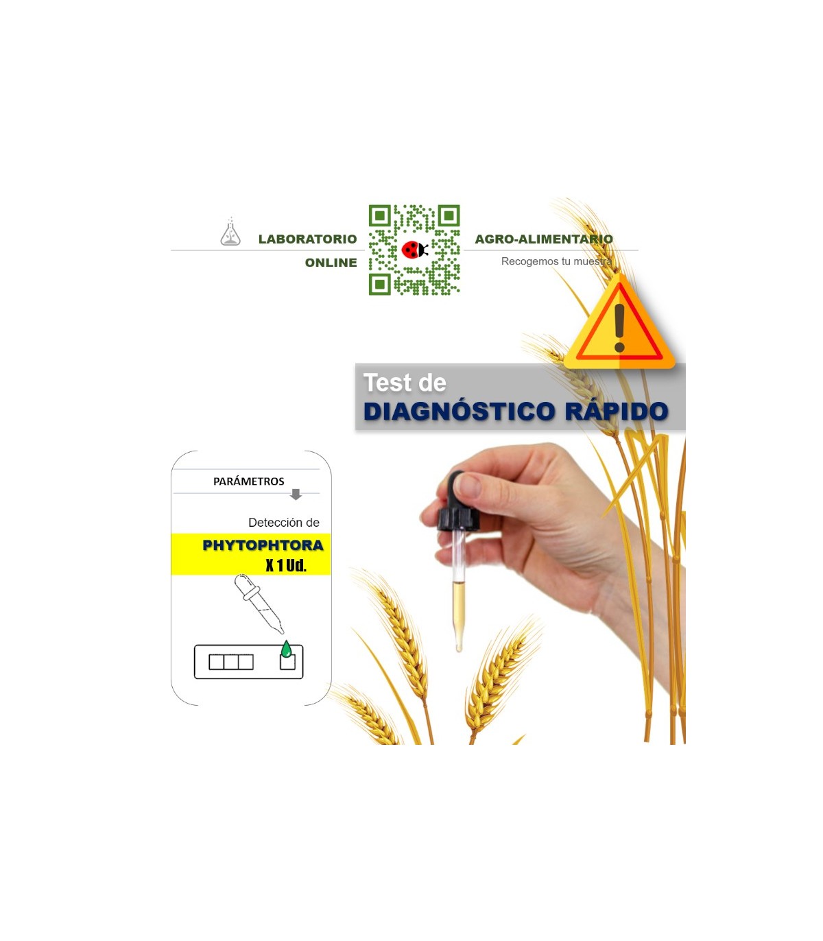 TEST Phytophthora 1 Ud