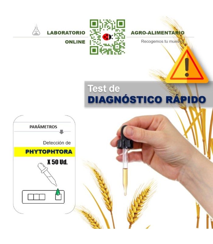 TEST Phytophthora 50 Ud