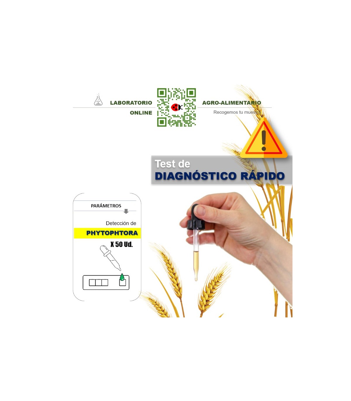 TEST Phytophthora 50 Ud