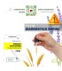 TEST Erwinia Amylovora 4 Uds Fuego bacteriano