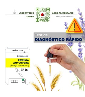 TEST Erwinia Amylovora 4 Uds Fuego bacteriano