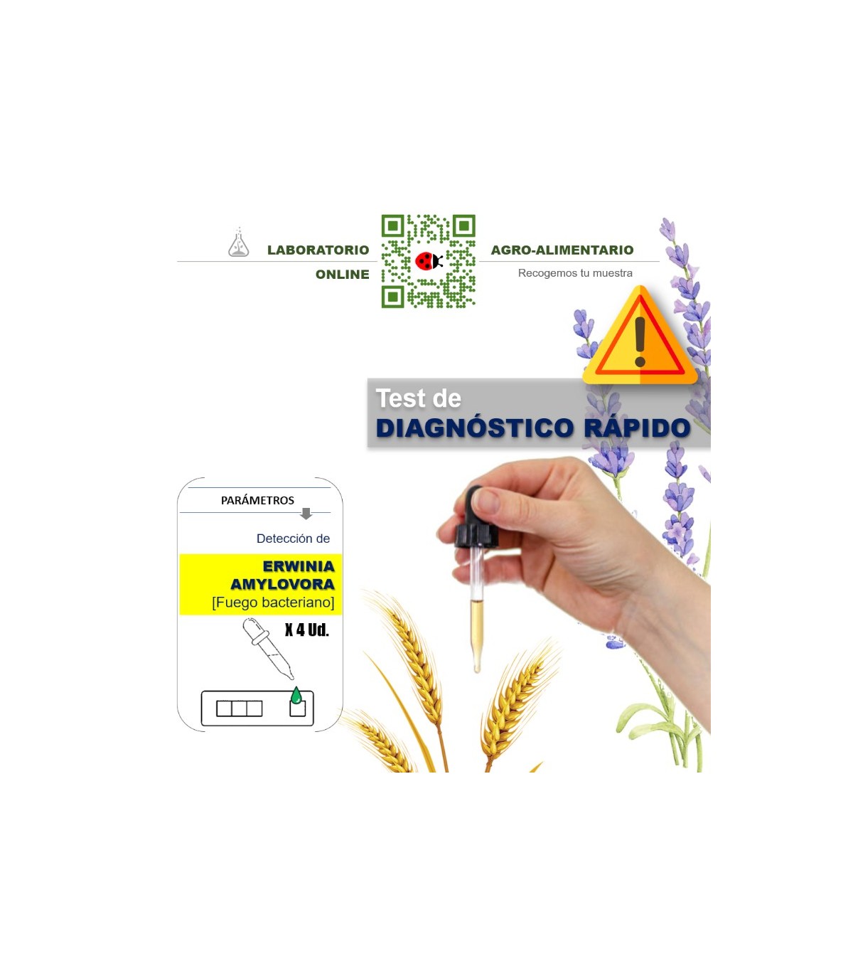 TEST Erwinia Amylovora 4 Uds Fuego bacteriano