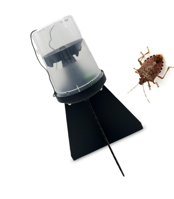 KIT DE TRAMPEO HALYOMORPHA (trampa + feromona) x 2 Ud