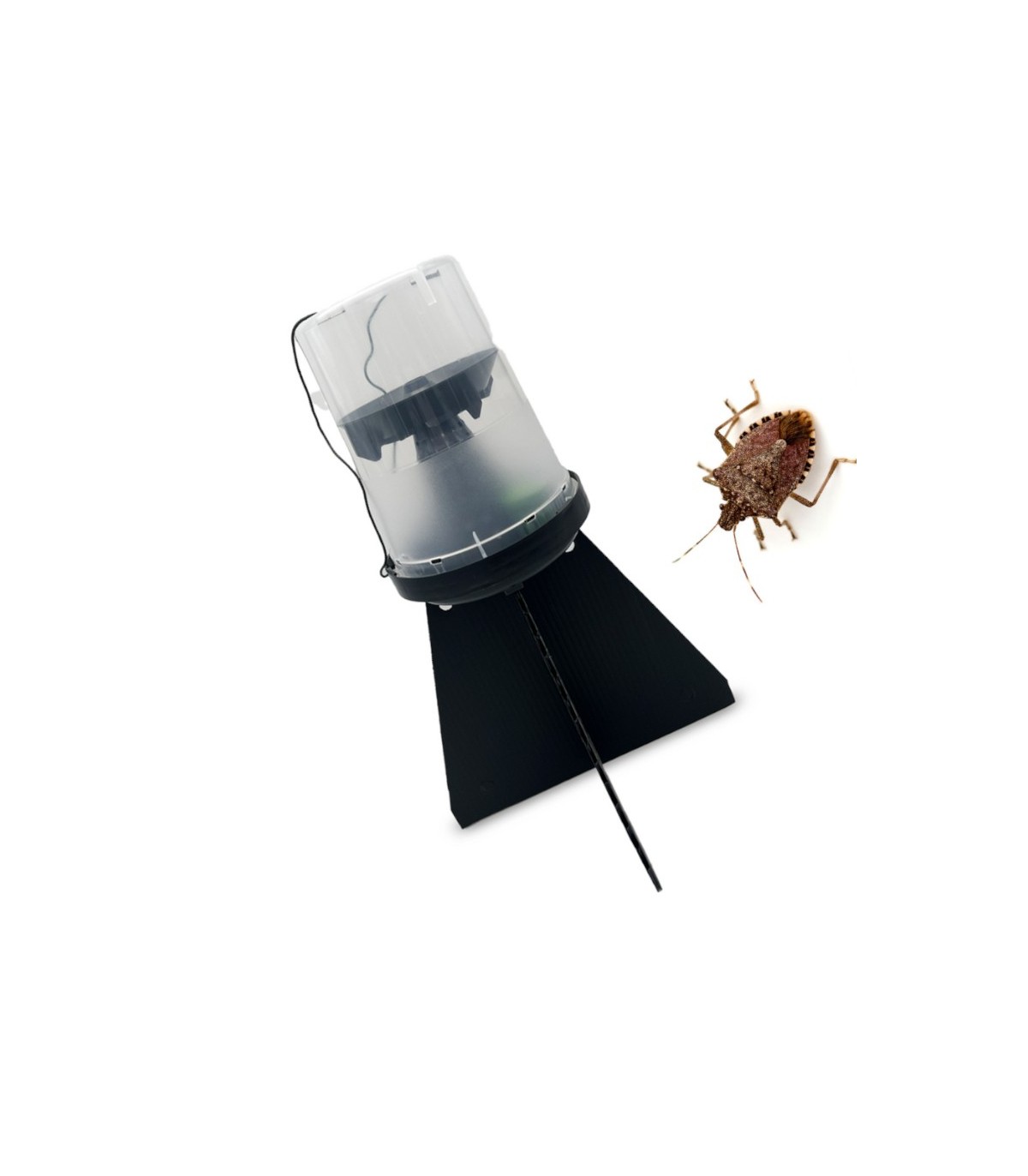 KIT DE TRAMPEO HALYOMORPHA (trampa + feromona) x 2 Ud