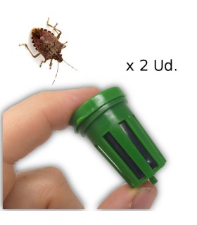 KIT DE TRAMPEO HALYOMORPHA (trampa + feromona) x 2 Ud