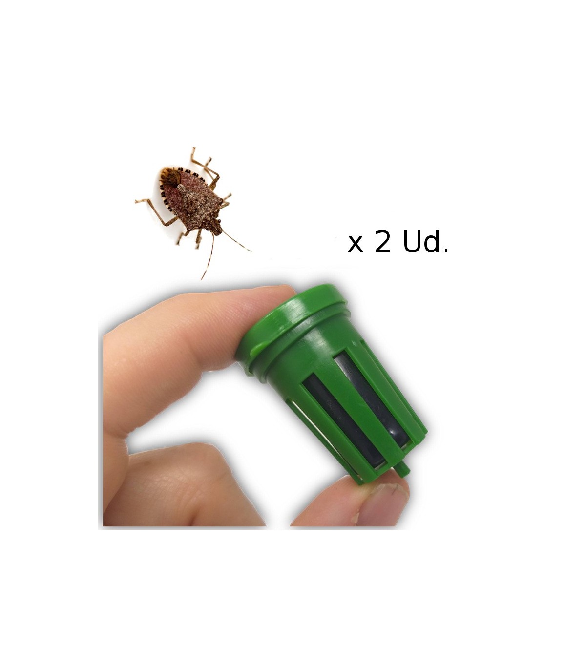 KIT DE TRAMPEO HALYOMORPHA (trampa + feromona) x 2 Ud