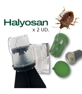 KIT DE TRAMPEO HALYOMORPHA (trampa + feromona) x 2 Ud
