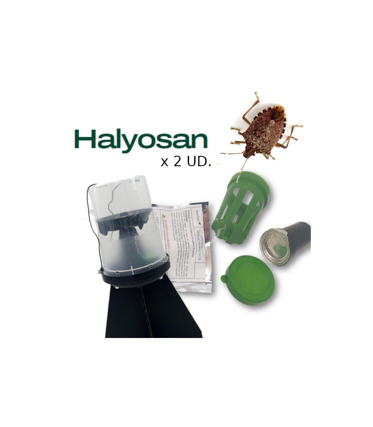 KIT DE TRAMPEO HALYOMORPHA (trampa + feromona) x 2 Ud
