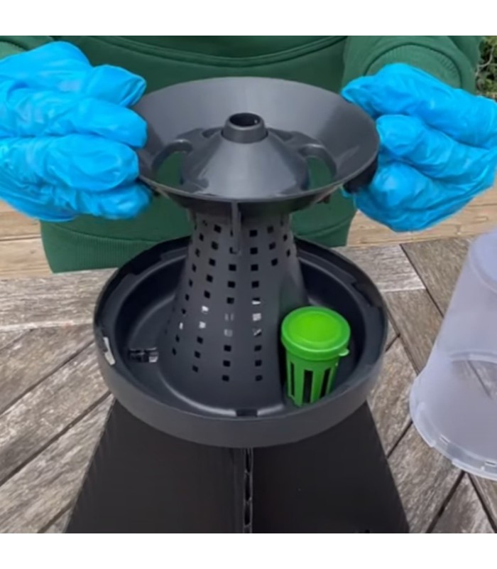 KIT DE TRAMPEO HALYOMORPHA (trampa + feromona) x 2 Ud