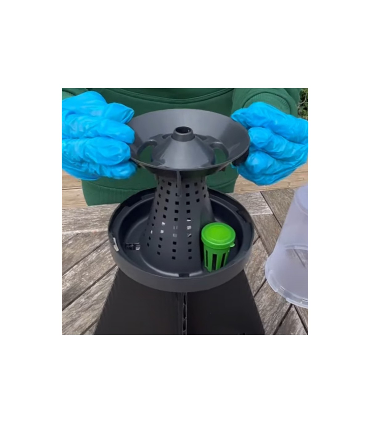 KIT DE TRAMPEO HALYOMORPHA (trampa + feromona) x 2 Ud