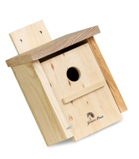 Caja nido modelo ICONA pared