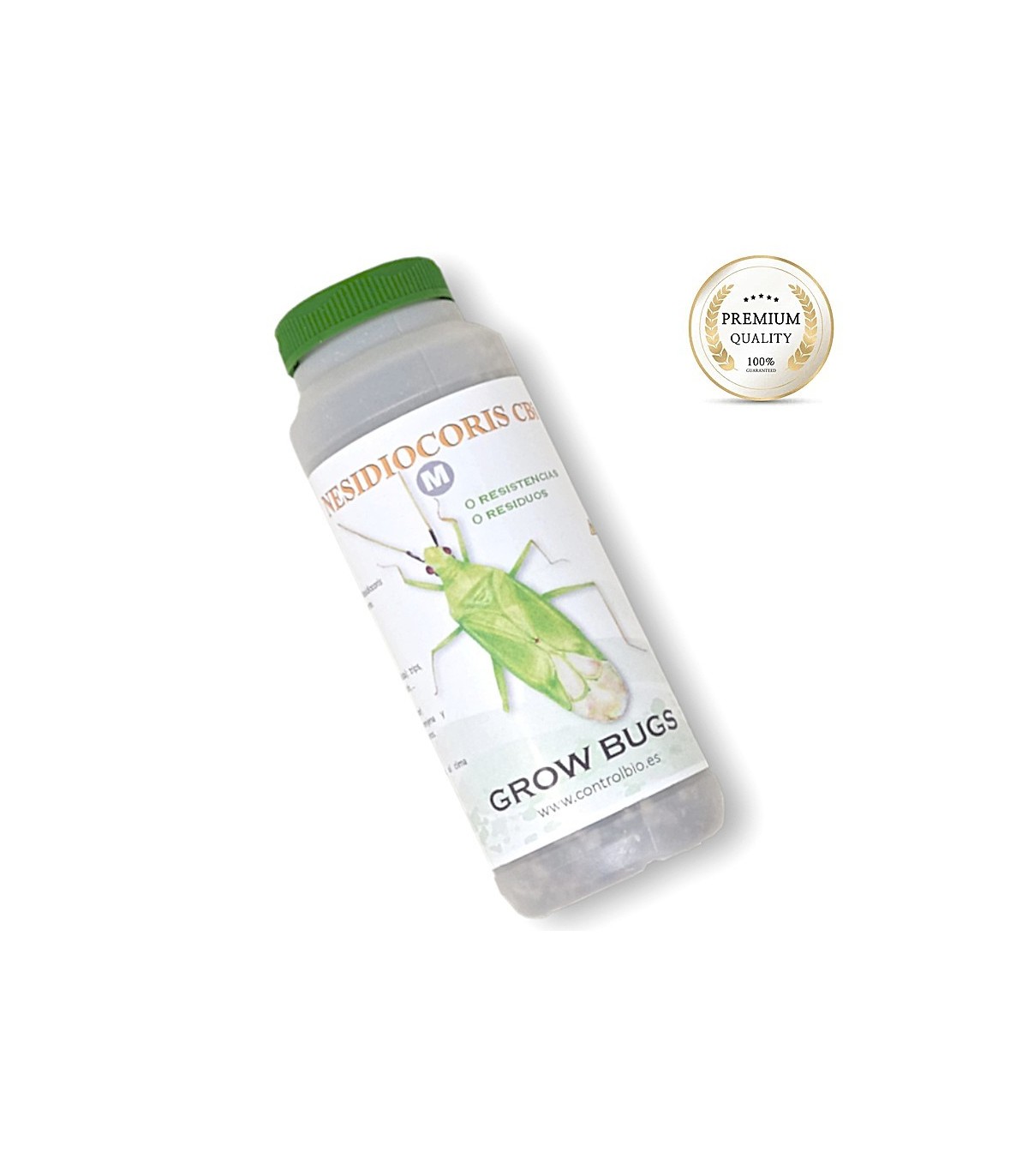 NESIDIOCORIS CBi 250 enemigo natural de tuta